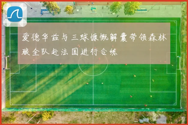 爱德华兹与三球慷慨解囊带领森林狼全队赴法国进行合练